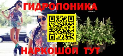 винт Гусь-Хрустальный