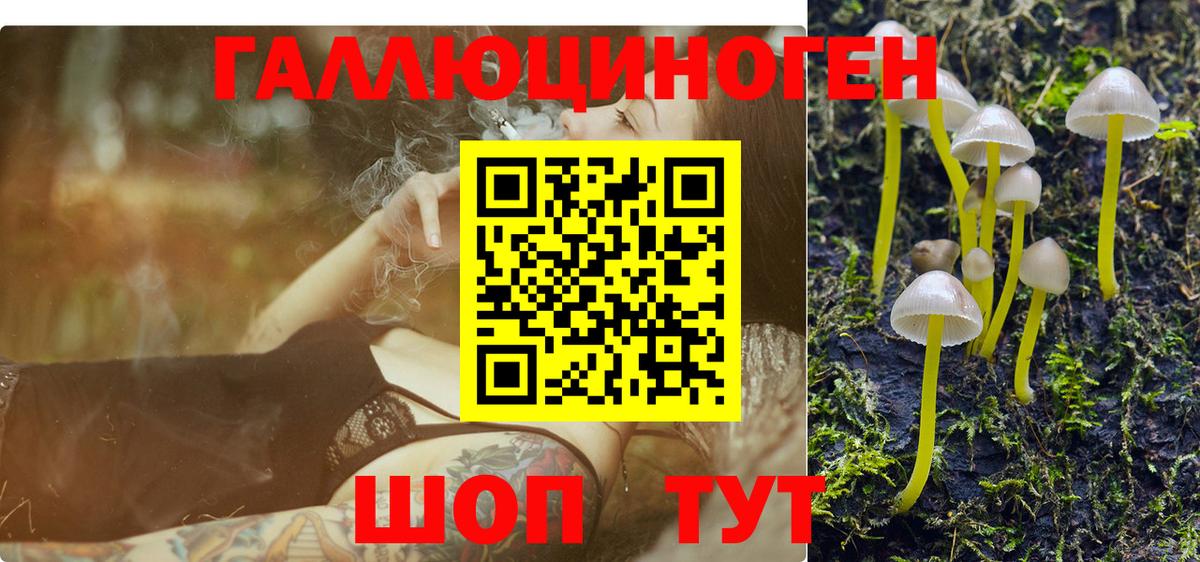 Псилоцибиновые грибы MAGIC MUSHROOMS  Галлюциногенные грибы ЛСД  Бутурлиновка  Вход с VPN 