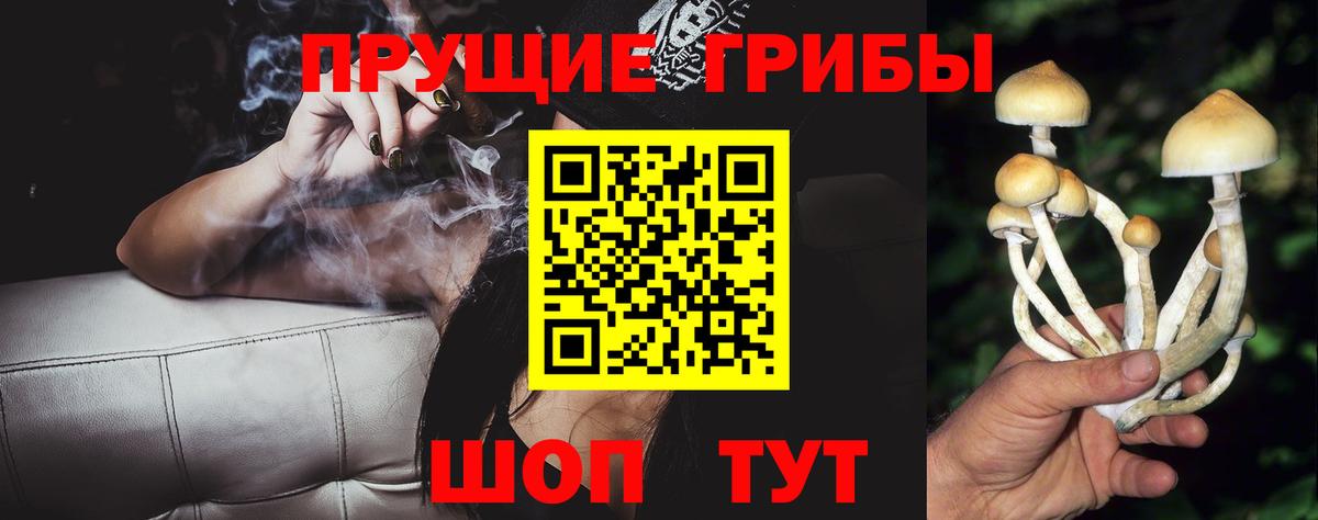 Галлюциногенные грибы Magic Shrooms Бутурлиновка